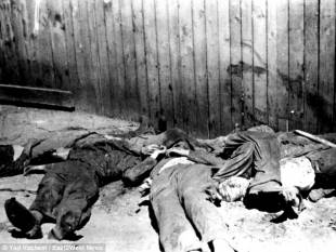 ebrei morti dopo una notte di violenze a lviv 1941