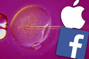 facebook apple congelamento ovuli