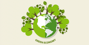 green economy 3