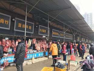 mercato del pesce di wuhan