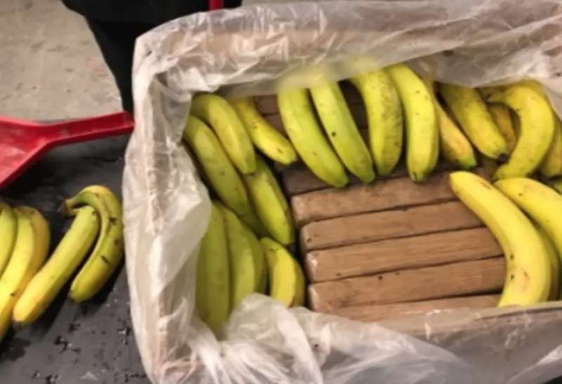 banane e cocaina 4