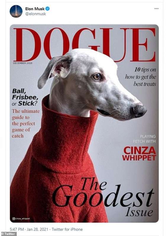 elon musk twitta la copertina di dogue scatenando la speculazione sul dogecoin