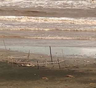 scheletro spiaggia latina 2