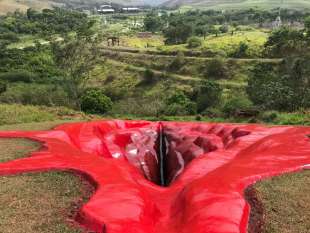 vagina gigante dell'artista juliana notari in brasile 6