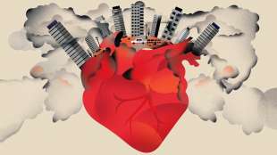 effetti dello smog sul cuore