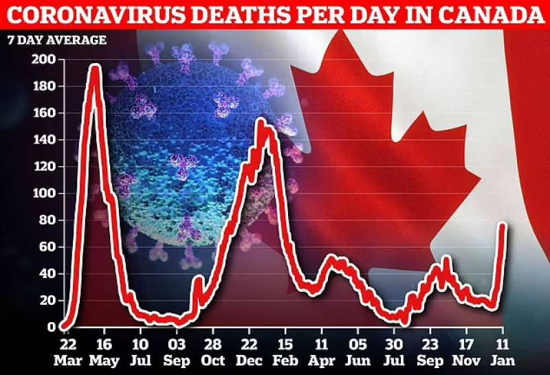 Morti Covid Canada