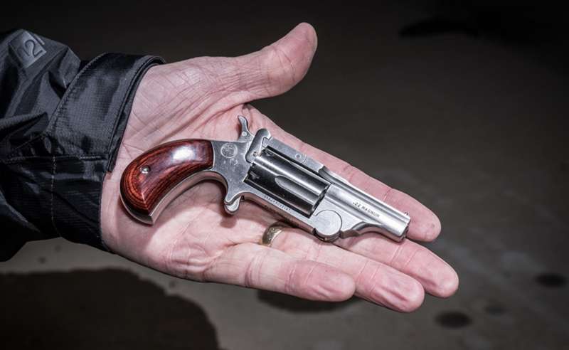 mini revolver north american arms 4