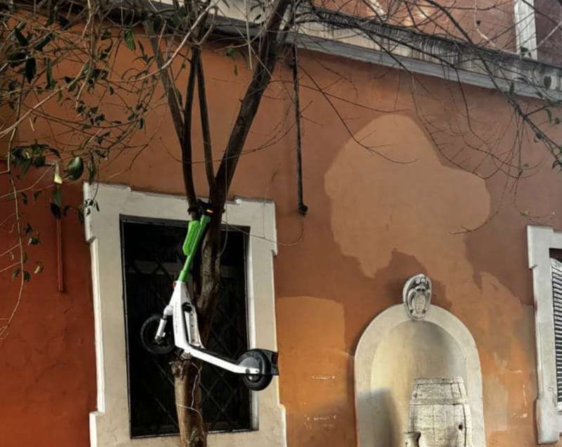 monopattino elettrico su un albero a roma