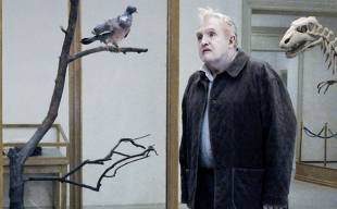 un piccione seduto riflette sull esistenza film svedese