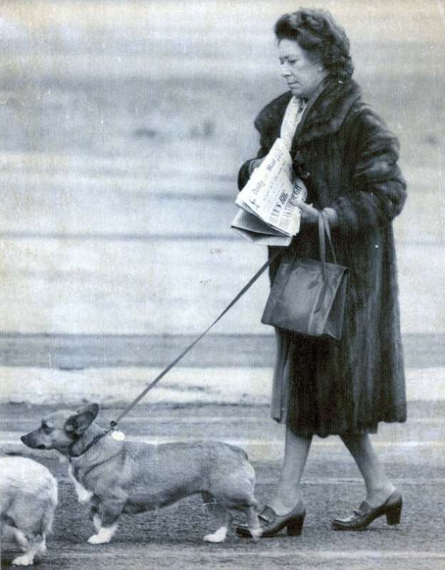 la regina elisabetta con i cani