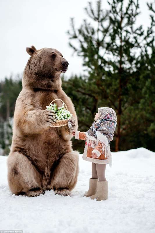 L orso stepan e la bambina 8 - Dago fotogallery