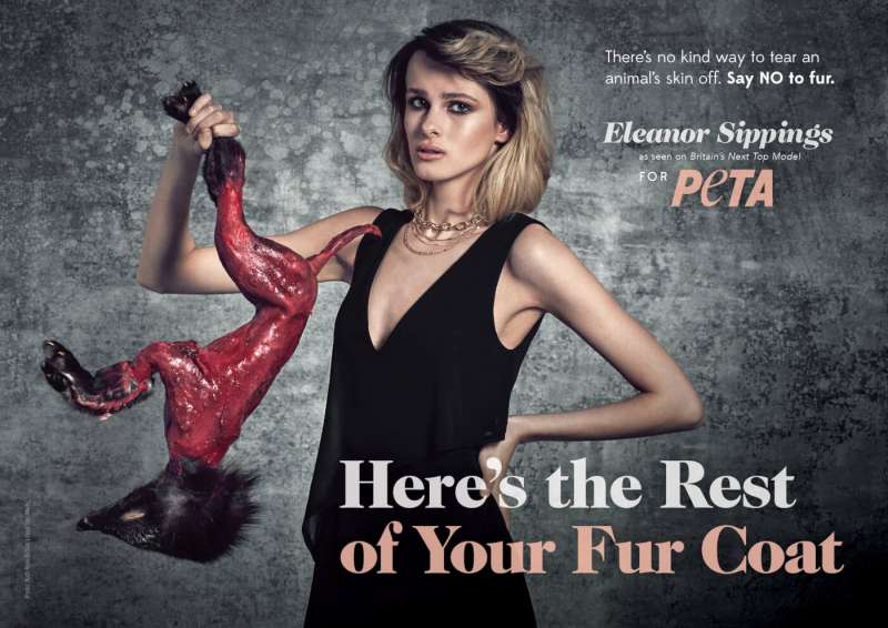 campagna peta contro le pellicce 2