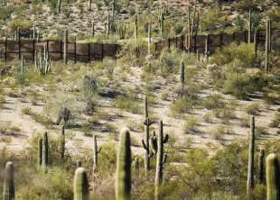 organ pipe cactus national monument 6
