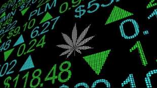 cannabis stocks 2