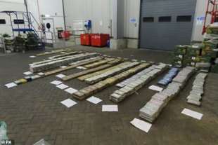cocaina in container banane a londra 2