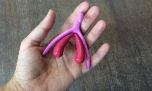 modellino in 3d del clitoride