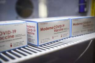 moderna vaccino coronavirus