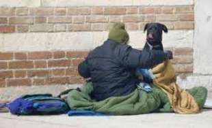 senzatetto con cane 1