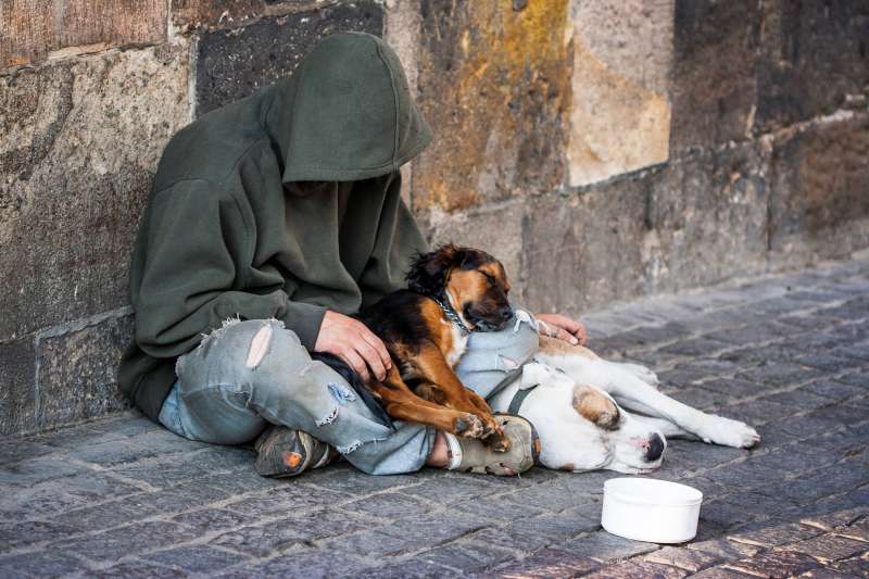 senzatetto con cane 10