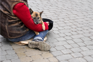 senzatetto con cane 2