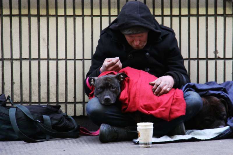 senzatetto con cane 3