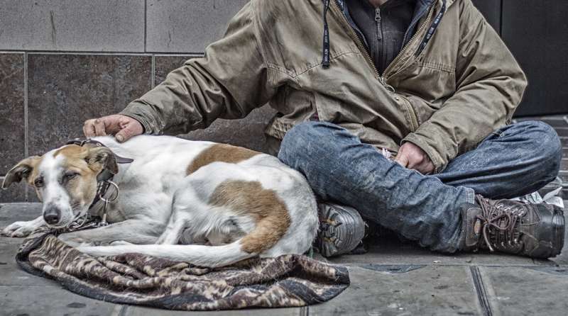 senzatetto con cane 6