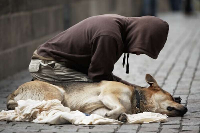 senzatetto con cane 8