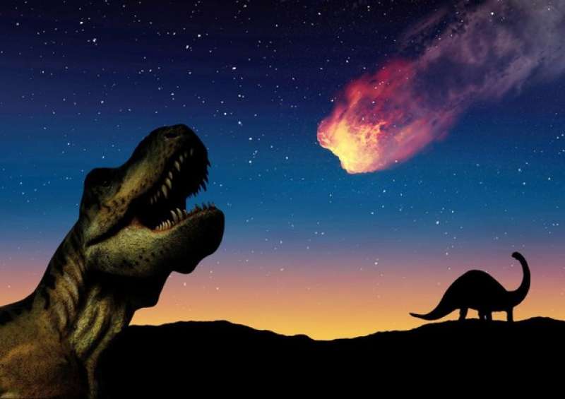 una cometa causo' l'estinzione dei dinosauri 5