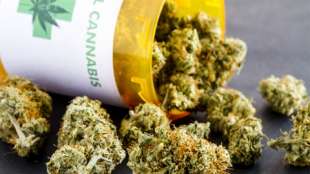 cannabis terapeutica 6
