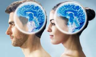 cervello uomini e donne 2