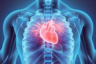 effetti del covid sul cuore 2