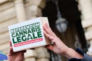 referendum cannabis legale