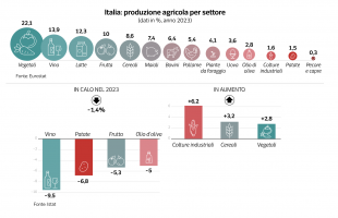 produzione agricola in italia dataroom