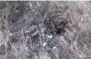 soldati ucraini fucilati dai russi vicino a Bakhmut