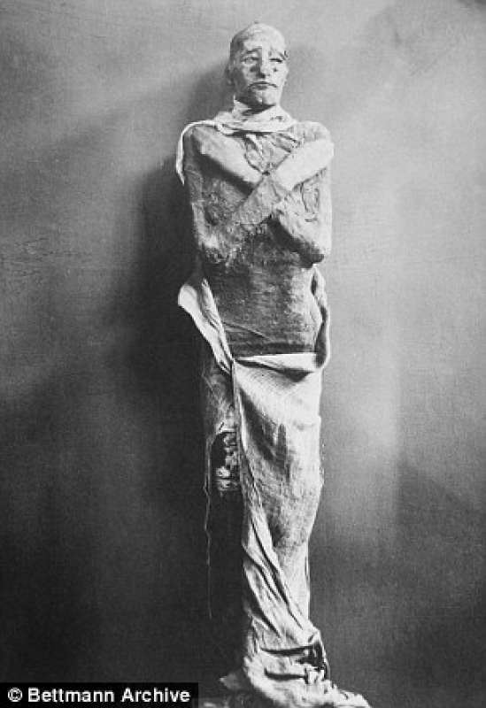 ramses iii mummia