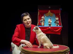 isabella rossellini link link circus