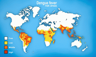 rischio dengue in africa
