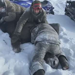 cacciatori uccidono alce incinta in russia 1