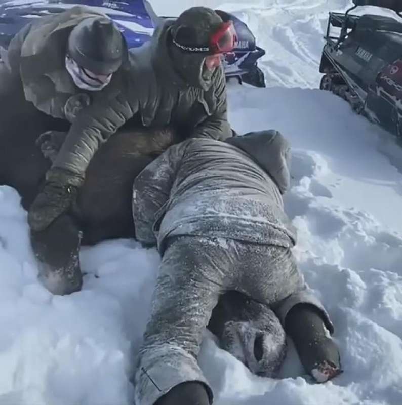 cacciatori uccidono alce incinta in russia 2