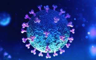 il coronavirus