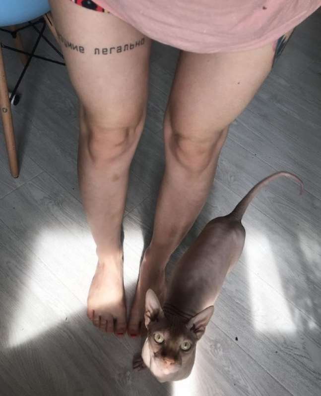 il tatuaggio sulla gamba di nina tseretilova
