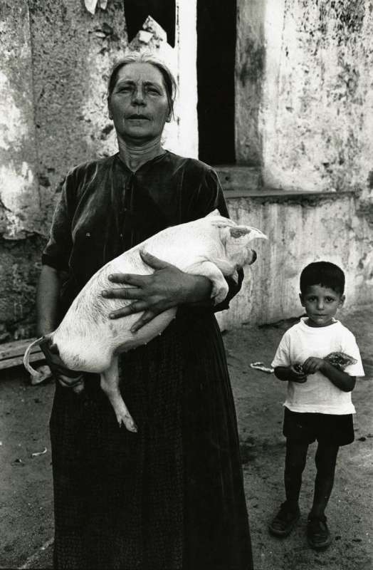 irgoli, donna con il maialino 1962 ph lisetta carmi