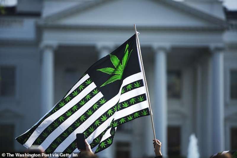 legalizzazione marijuana negli usa