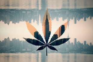 marijuana a new york
