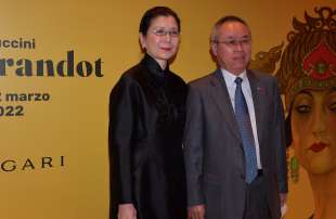 l ambasciatore cinese li junhua con la moglie bai yongjie foto di bacco (2)