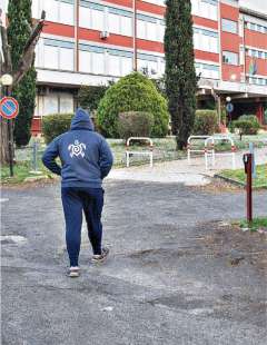 liceo montale
