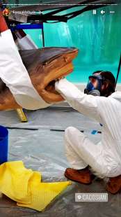 Uno dei dipendenti di Hirst che esegue lavori di conservazione su uno squalo