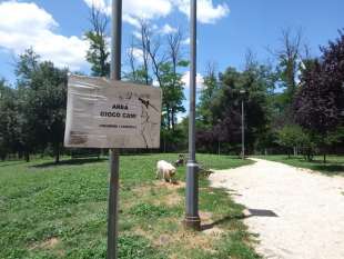 aree cani roma