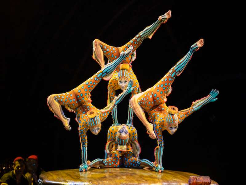 cirque du soleil spettacolo kurios the cabinet of curiosities 1