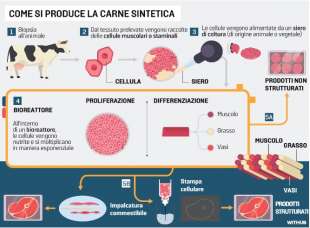 come si produce la carne sintetica